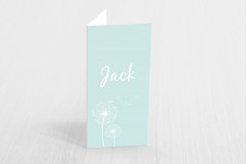 Twee blaasbloemen Twee blaasbloemen